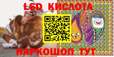 прущие грибы Коммунар